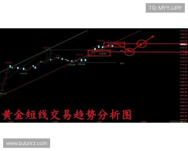 高位逼抢损耗：前场球员持续压迫对下半场回防冲刺频率的因果研究